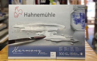 HAHNEMUHLE WATER COLOUR PAPER